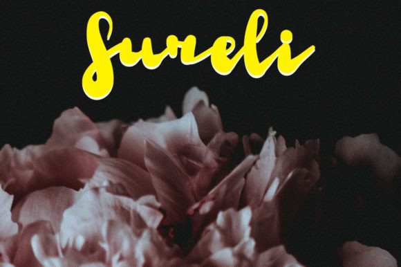 Sureli Font: A Playful and Elegant Typeface for Small Business Branding