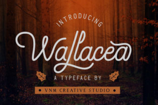 Wallacea: A Premium Script Font for a Romantic Brand Boost
